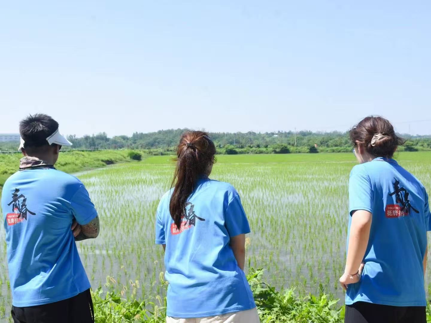 WԺ̹WԺh悽ĻӰlչB{ЈF朄ӳЈ_չl