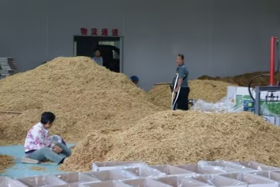 ϷʹIWxԺͬS˻ء׃СS顱ڌ`