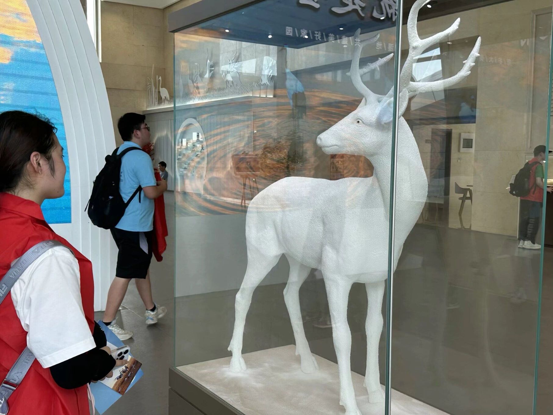 ǧlf|ӺWKʡ}Sرo{пС꠸}ǵQB΅^_չ`