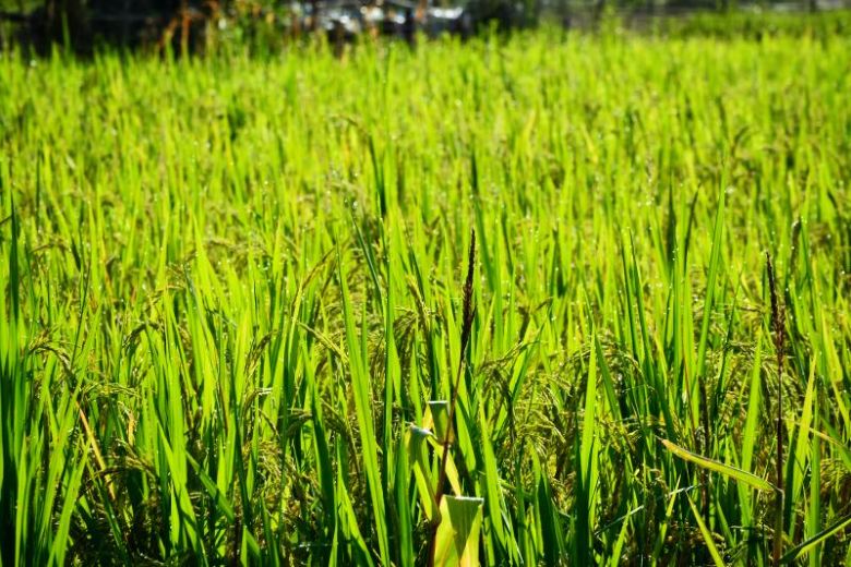 ഺxl(xing)dVW(xu)Ҏ(gu)|δ(li)D