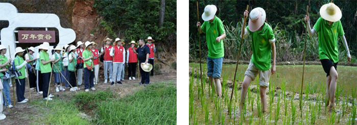 `@֪ƼWtTͬġ`gؕĻ