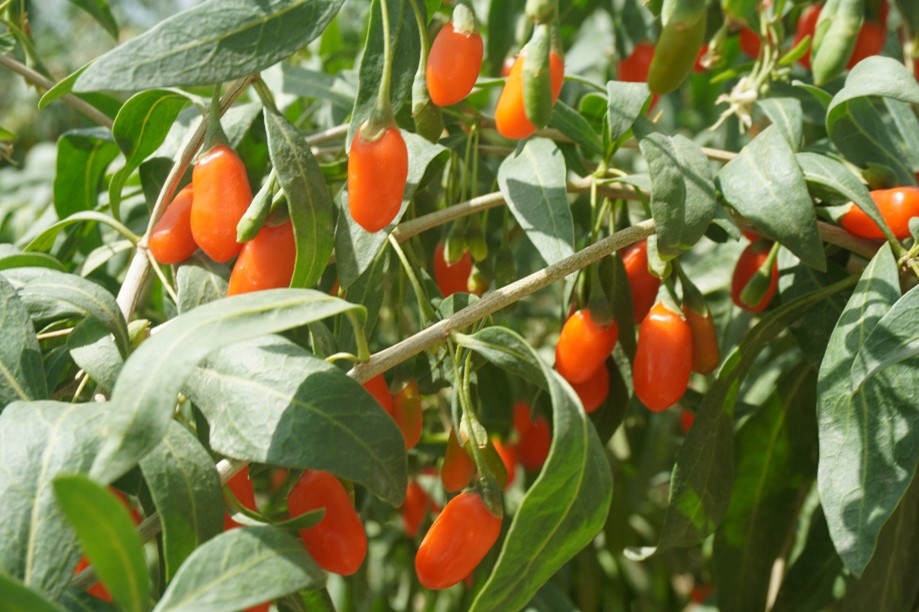 mW`F{ĹڹݮaI ld°lչǰhhl轮aIlչ