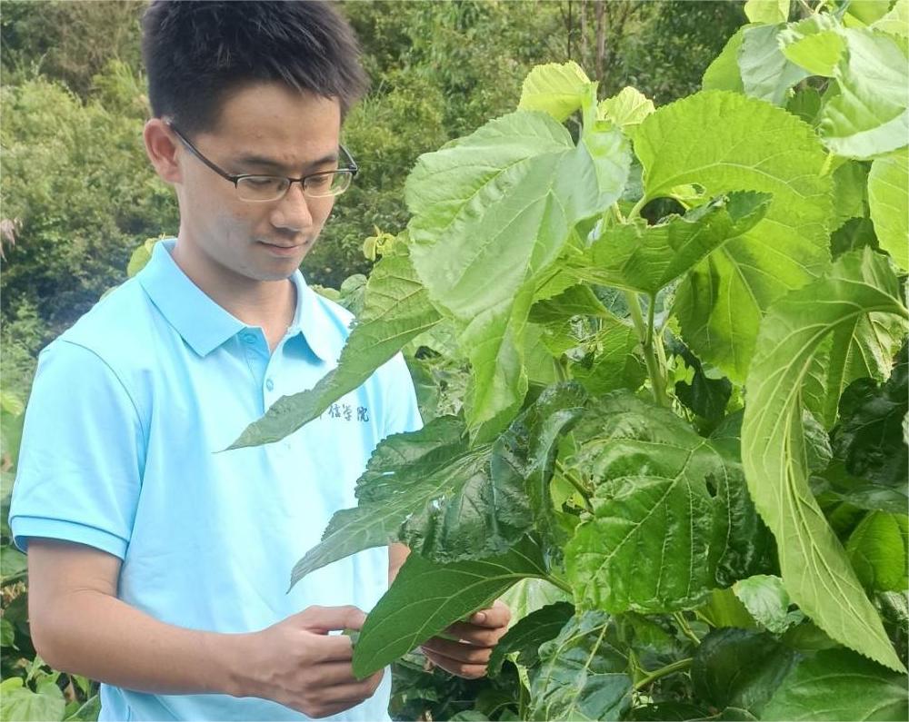 VI(y)W(xu)Ժl(xing)sʢģM(mn)Դ(sh)`F(tun)Ƽr(nng)QOɽ