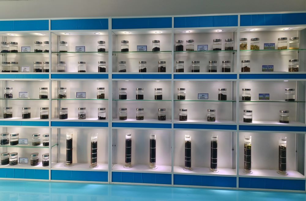 ӺW(xu)|(zh)xܣI(y)¡̽ͨc²ϵĸ֮·