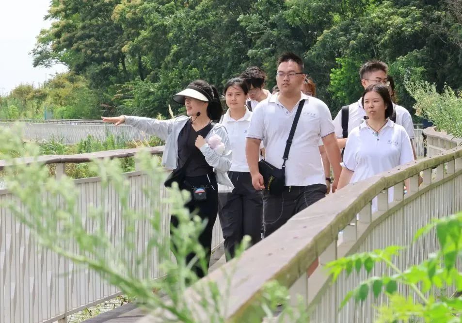 ȺymVrA¡WӸӺ^_չ`{