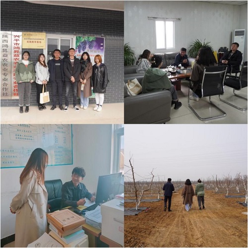 ഺ(dng)r(sh)|W(xu)ӸσʡM(jn)r(nng)I(y)O(sh)