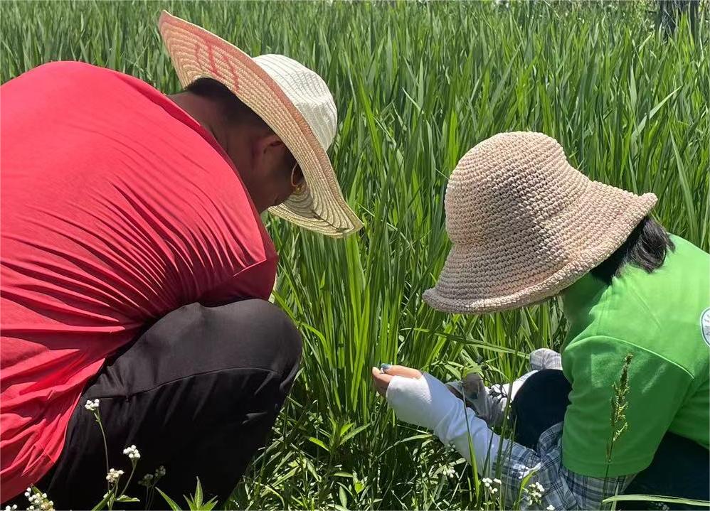 w(yn)F(xin)(sh)QQr(nng)(chng)Ї(gu)l(xing)d