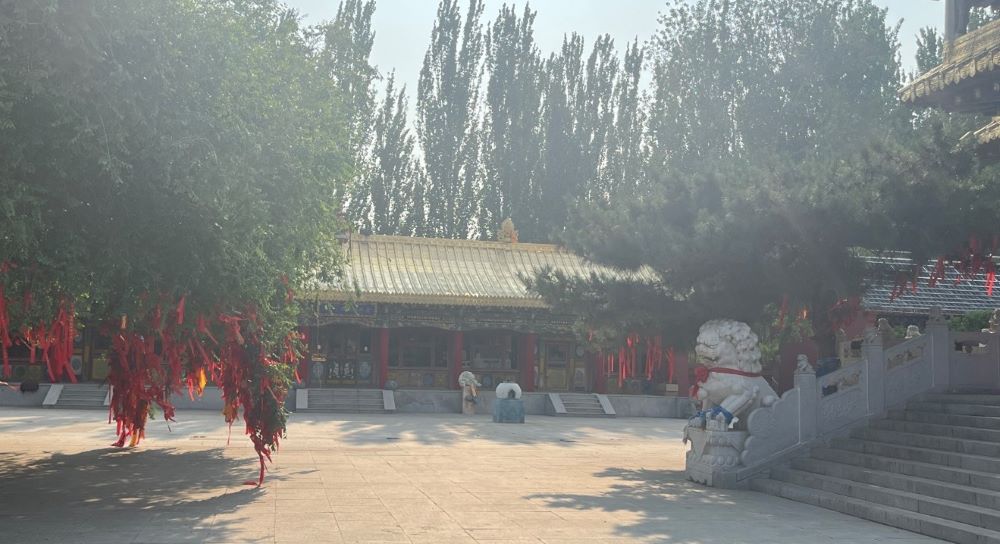 ϳǽW(xu)ԺcҎ(gu)W(xu)Ժo(h)_(ki)l(f)ŽȺ(hu)(sh)`F(tun)M(jn)ϝ(zhn)̽ŽȺo(h)c_(ki)l(f)֮·