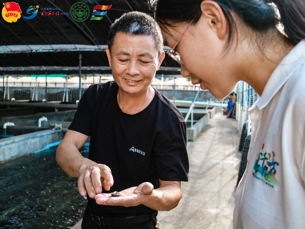 Dʾ, ʾD&#10;&#10;жȿŶԄ:ver1