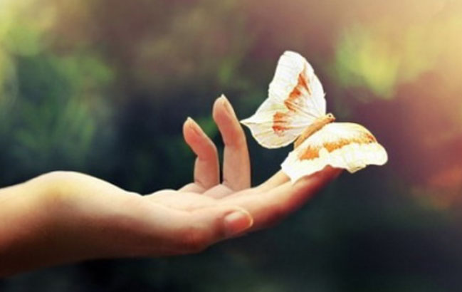 W(xu)Ҋ(jin)톖(wn)}