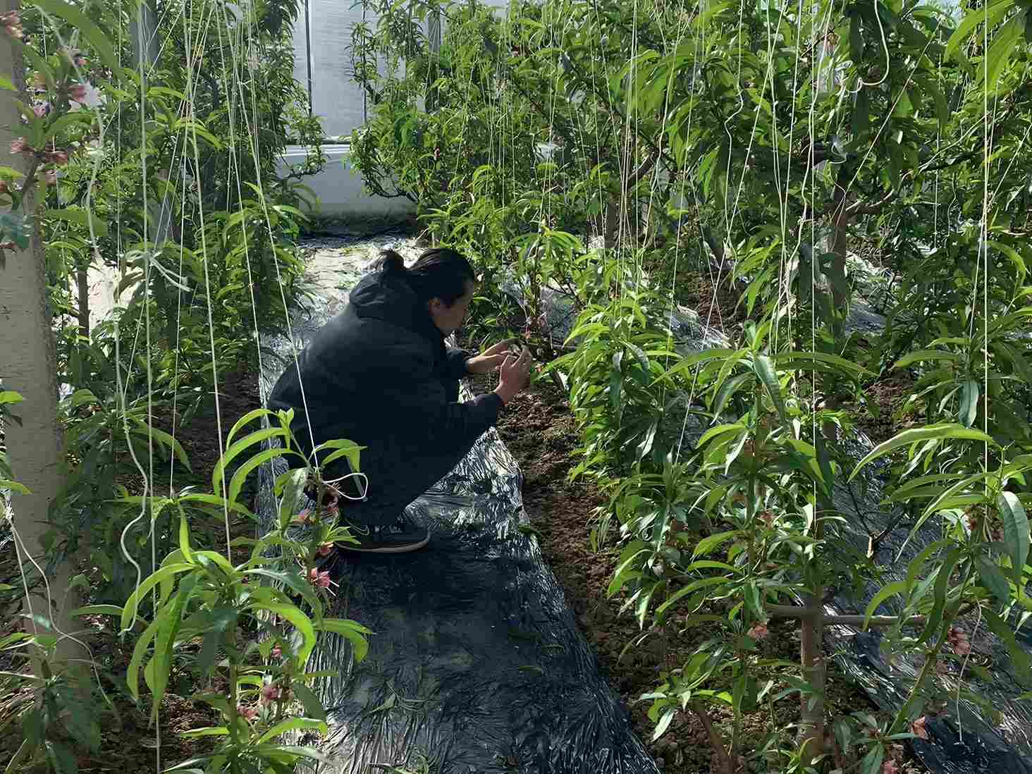 Ĕzlld`꠸ȫʮ_չR^ӛld`