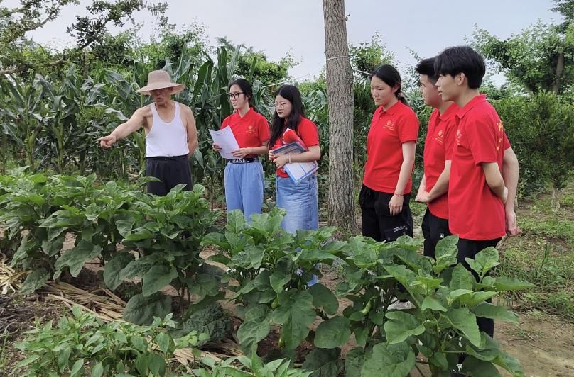 ӺW(xu)(sh)`F(tun)|ֱ(zhn)_չr(nng){(dio)