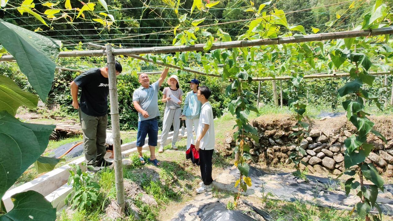 VWlaƾ̽FɽġۡcBaldw`