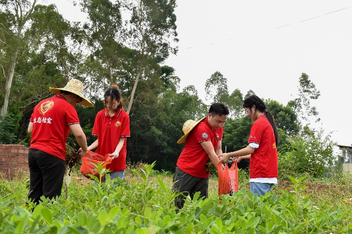 G΢⡤G|HWԺǧfͻ(zhn)_չնC{(dio)cGɫr(nng)I(y)