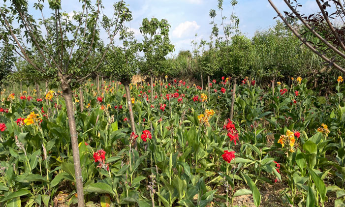 lgErɾͰlչ^FɶѽhFţ_չ{