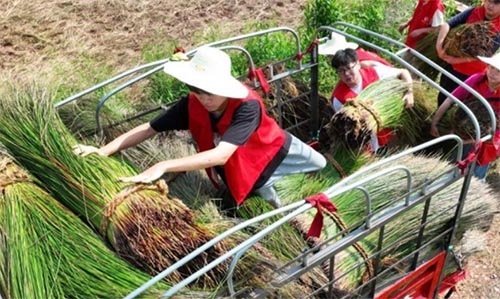 ϺAW(xu)_չ(hu)(sh)`(dng)r(nng)