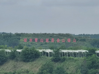 ̽Ϝd֮·|ؔWԼ֣Sʳ `ꠌLϜϴvɲt