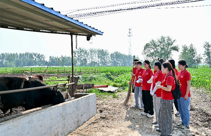 ϷʹI(y)W(xu)l(xing)M(jn)B(yng)ֳa(chn)I(y)Nl(xing)