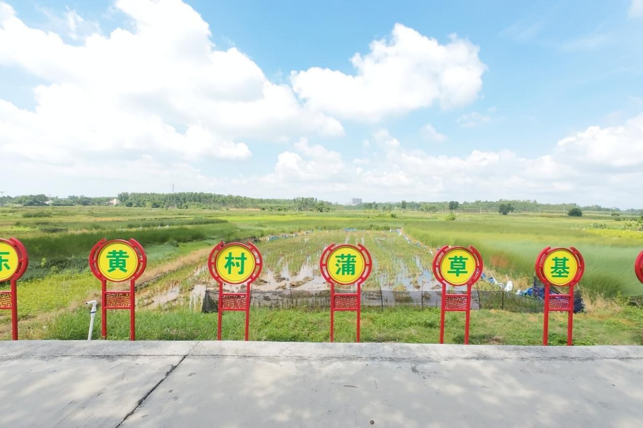 տƌW(xu)ӡl(xing)Ѳl(xing)s|S