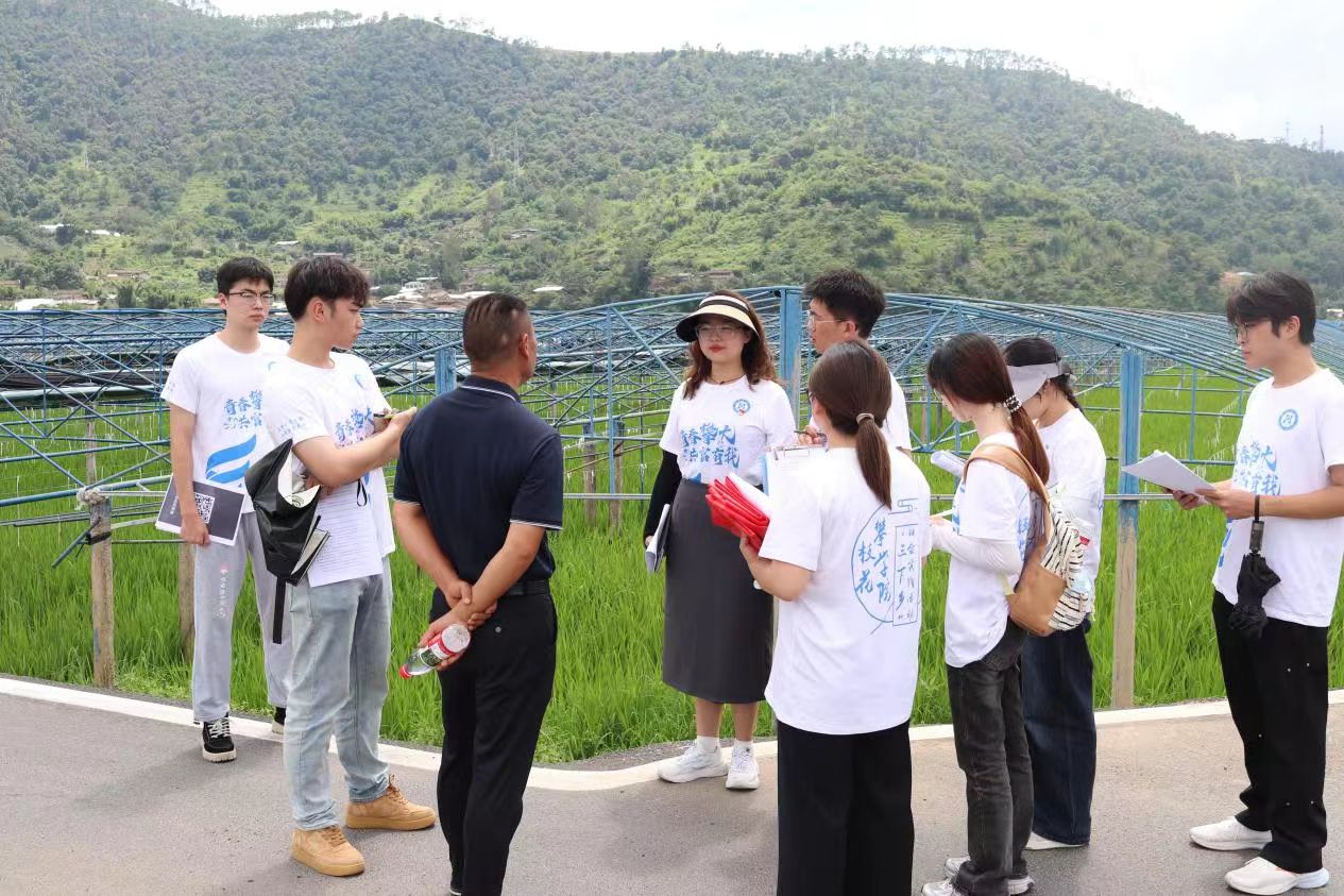 ݆씳SoɏL͹rID