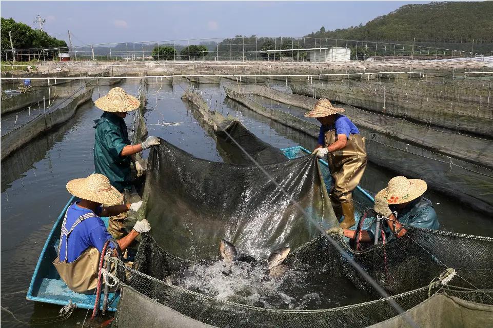 ɽW(xu)W(xu)ǻۆƼ֮xܶOI(y)vw