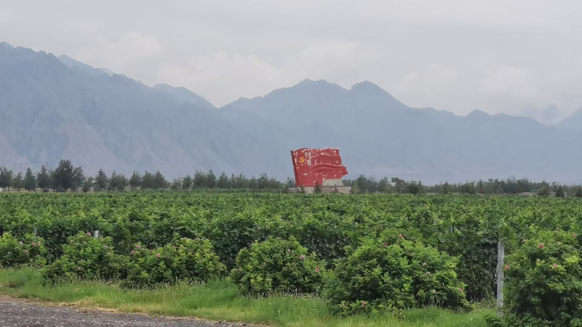 Rmɽ_µѾˇg(sh)֮áMR׾f