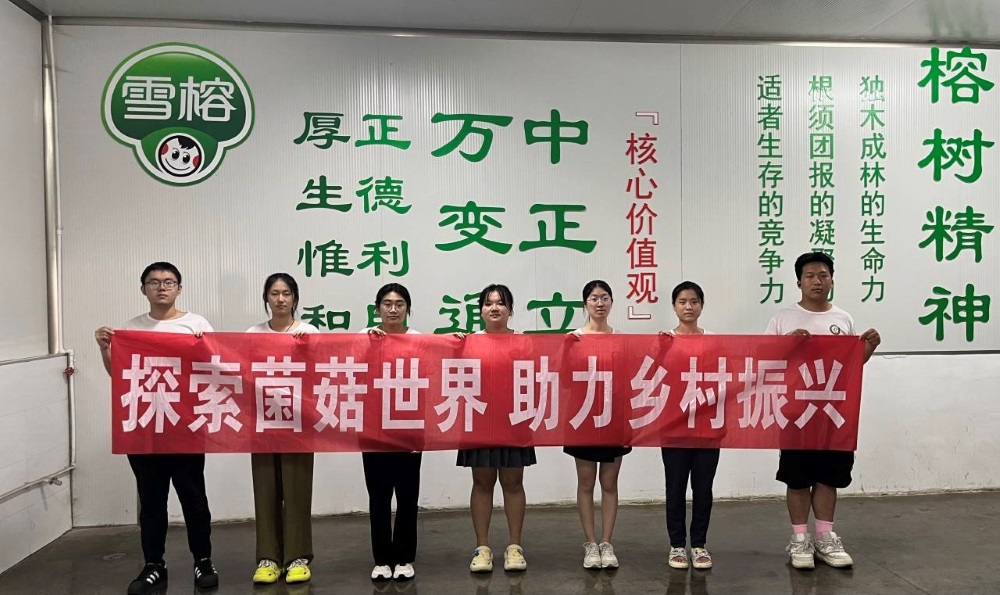 M(jn)a(chn)һa(chn)I(y)dl(f)չ