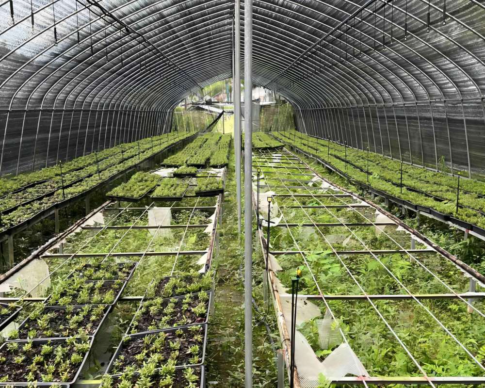 VWӻɽʯ̽أǻۣ·Nֲld