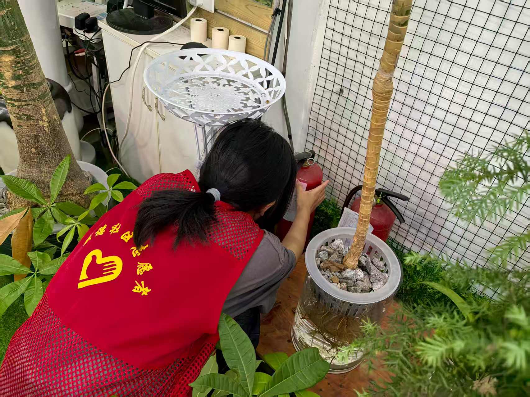 t(y)~(du)ʢ^(q)˨[ Էl(xing)(sh)`ƽ(xin)