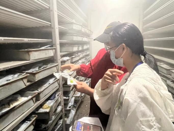 (yng)|ഺ֮Ll(xing)d®(hu)