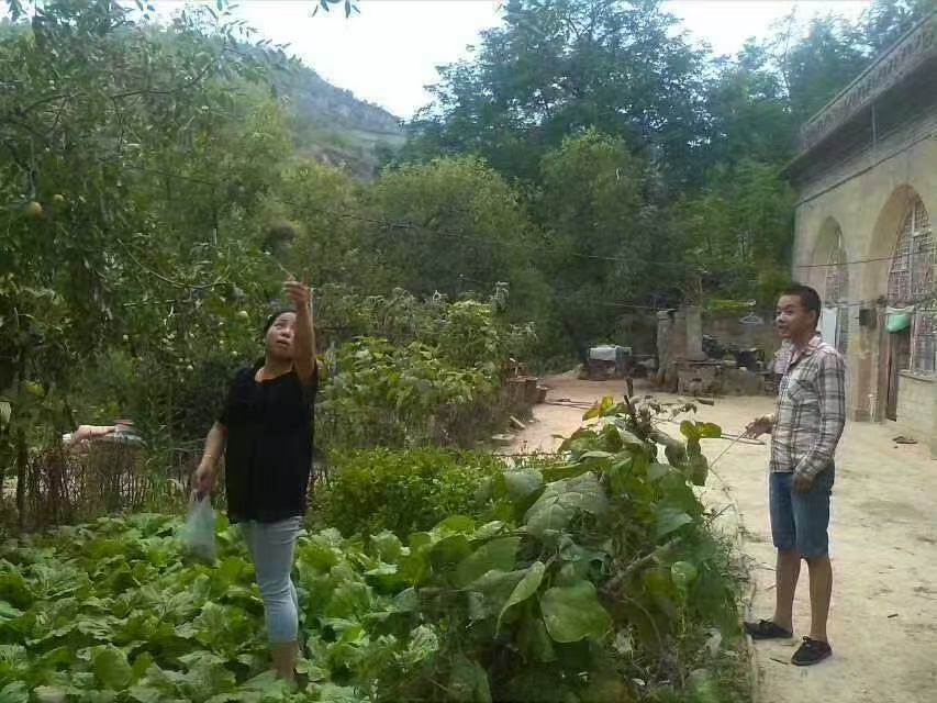 g(sh)WԺWl(xing)_չвˎؿ졪݌