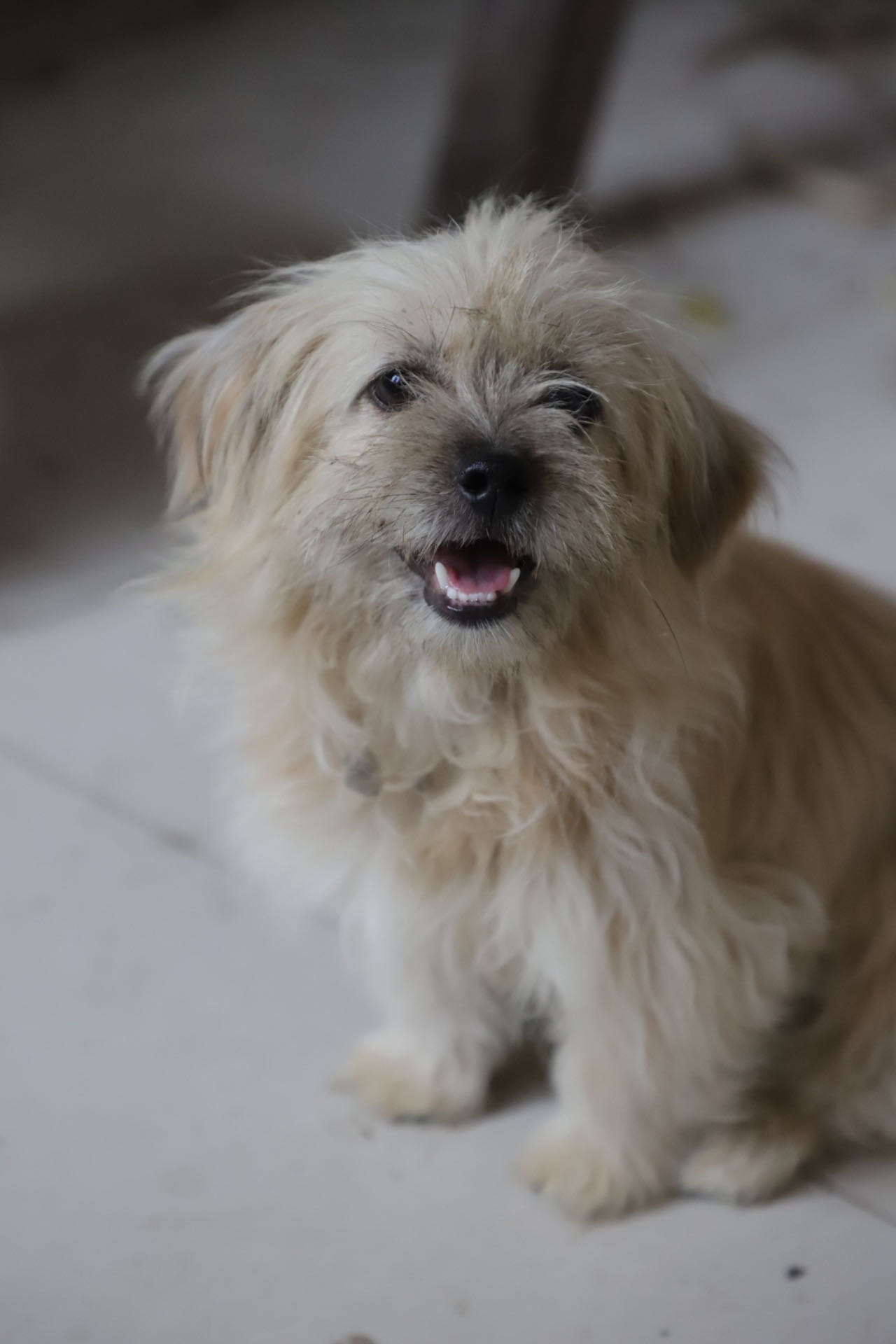 ɫʣ׌(i)ˡP(gun)(i)˄(dng)(hu)(sh)`(bo)