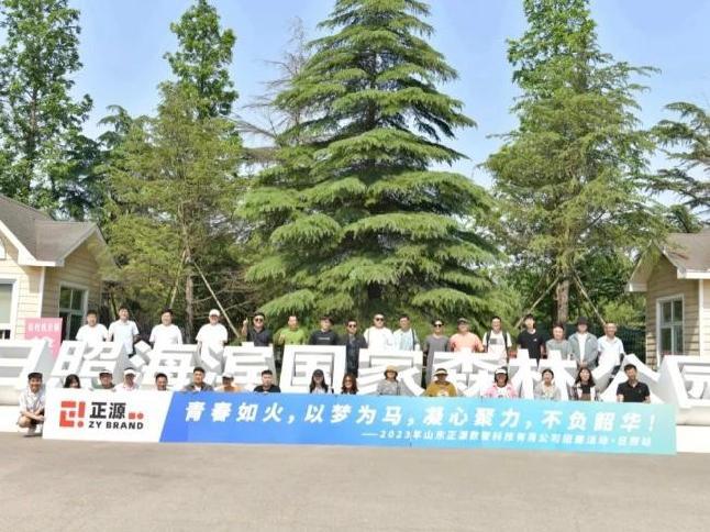 Ƽ(chung)I(lng)đ(yng)ǰ{(dio)