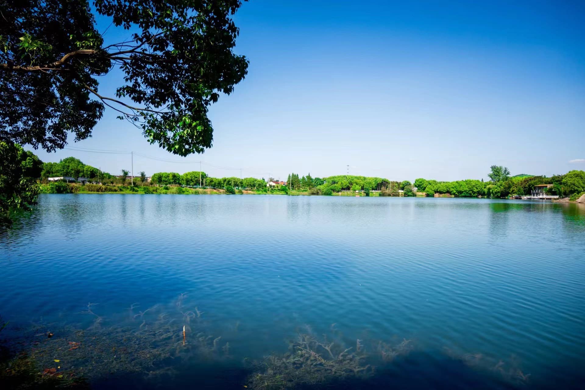 ݹWԺWMɽˮ{˼ǻ۹탞