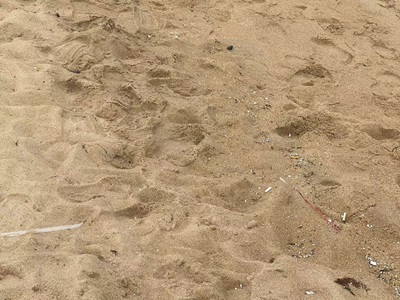 ɳ[{(dio)ЈF(tun)ɺʡ{(dio)