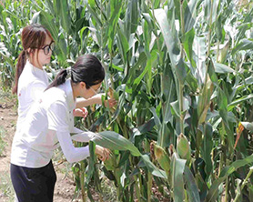 ѿЄӣ`TͳLڄӄ(chung)ؔ