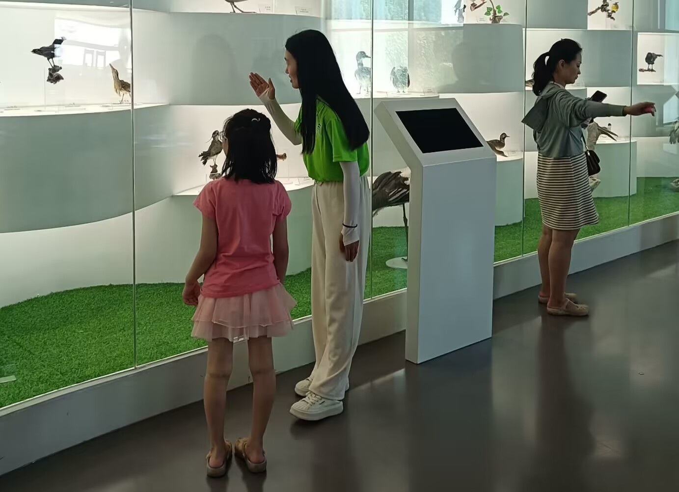 BoBPȻӱƼWԺWԺd֮`F