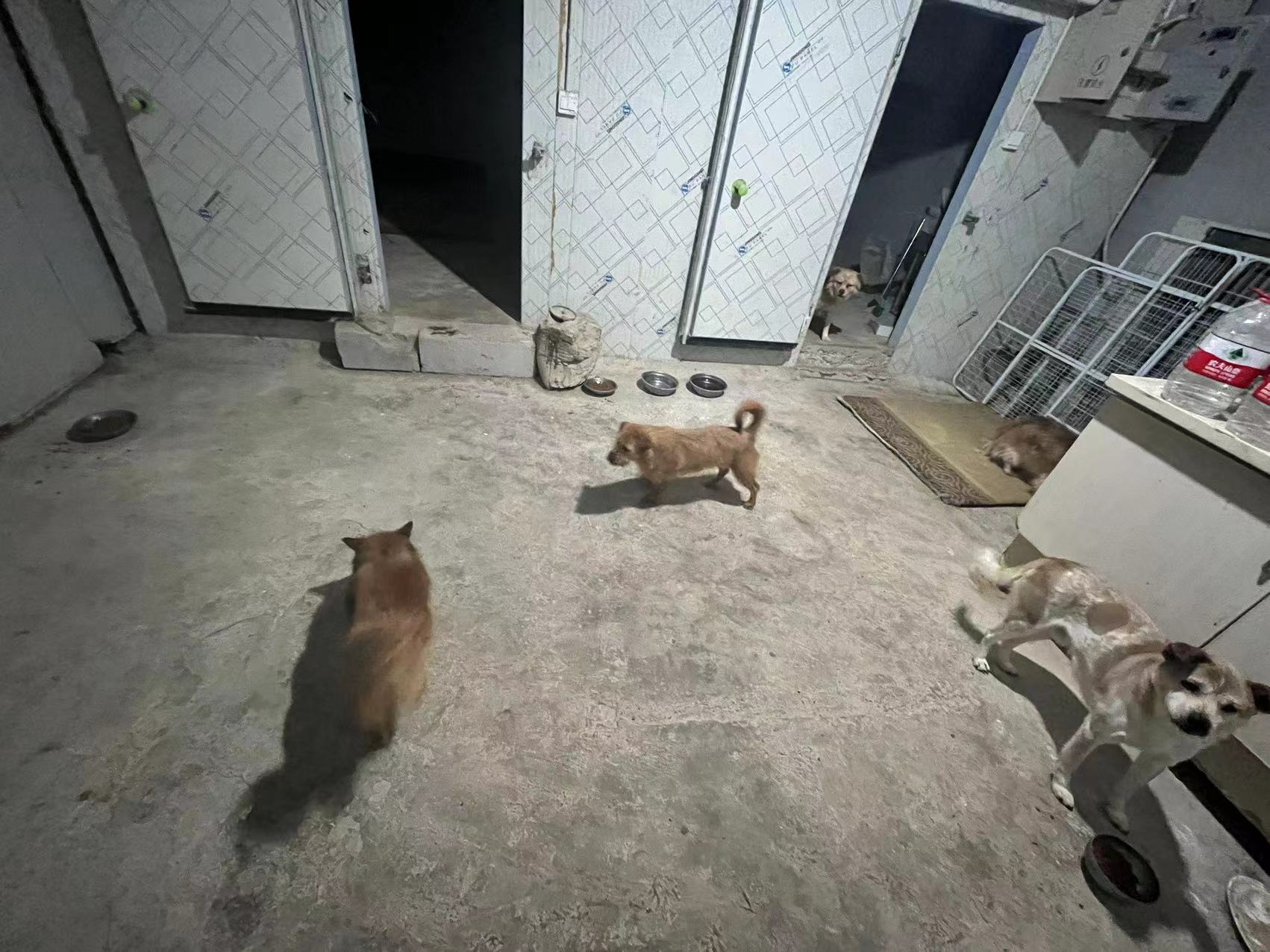 ɫʣ׌(i)ˡ(hu)(sh)`F(tun)(du)