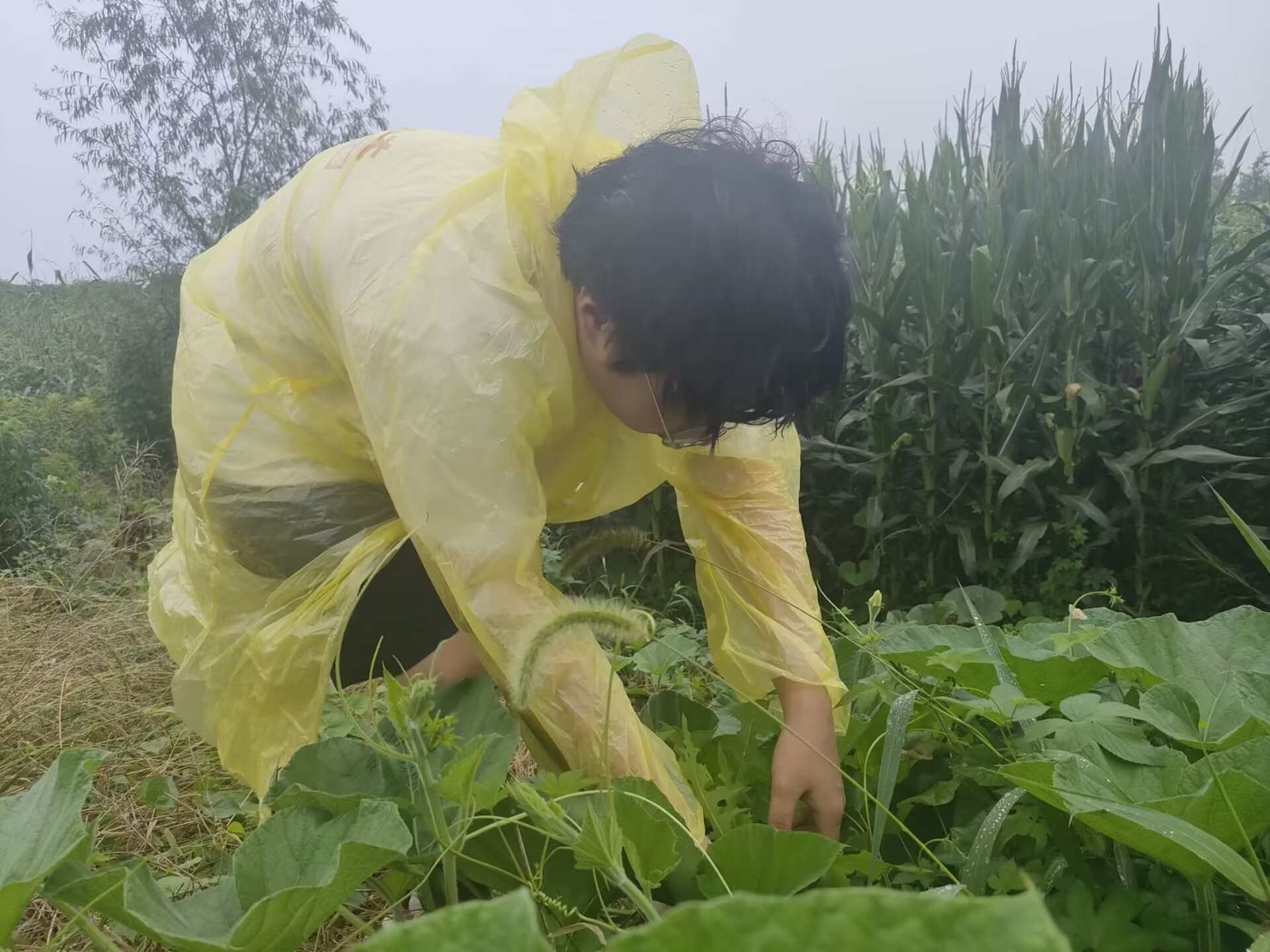 Сr(nng)ˡ(zhn)ǰr(nng)`