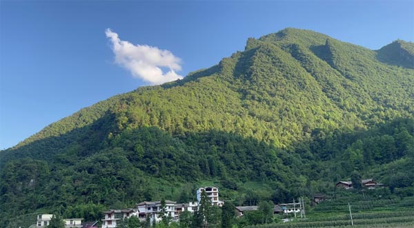 xl(xing)D(sh)^P(gun)(i)ɽ؃ͯ