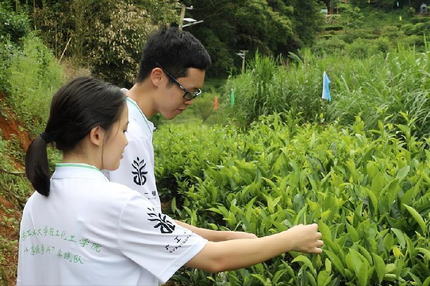 Yl(xing)Уl(xing)drԺpvFdЏ(zhn)_չYl(xing)л