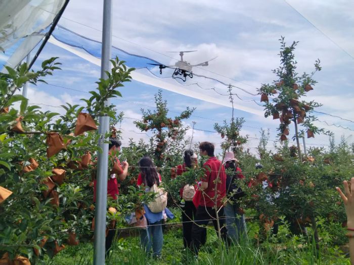 AWԺGXtOh{ж(zhn)OժCе