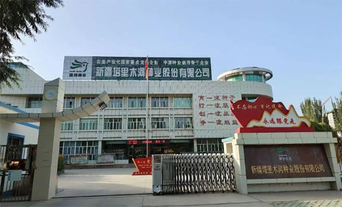 LNI(y)˾l(f)չ+ľW(xu)r(nng)W(xu)Ժl(xing)d(du)