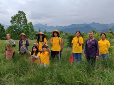 ഺ(yng)ؑcI(y)W(xu)Ժl(xing)dVӋ(j)F(tun)(du)|l(xing)Wҫഺ(dn)(dng)