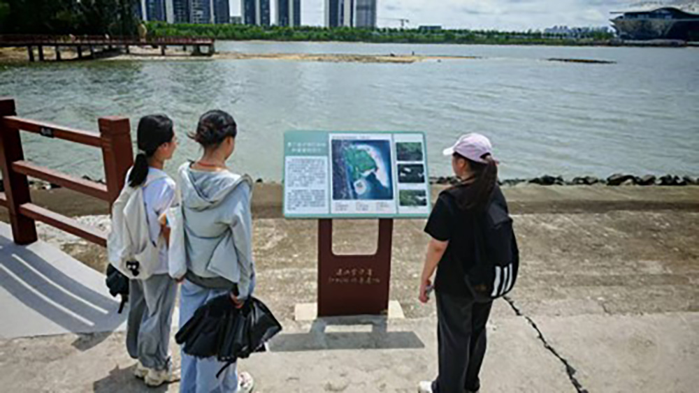 տƼWԺgcOӋWԺ`F{Ј桪տtּtַNBό{Ј