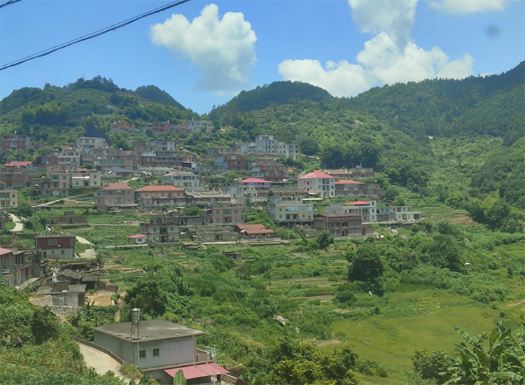 rִWl|̽Lüɽ㣬Ldƪ