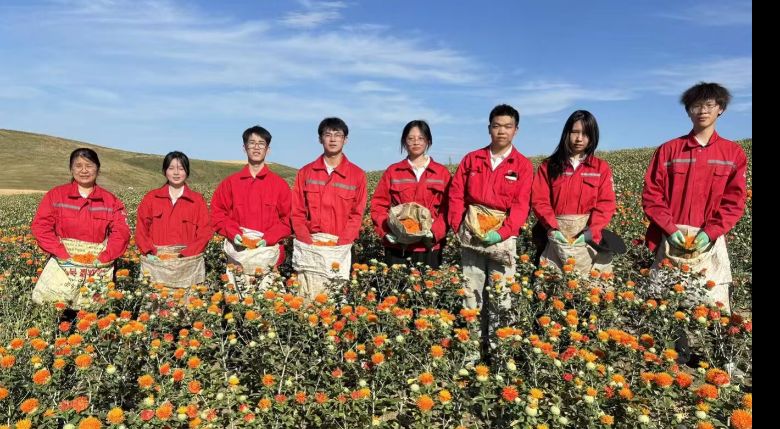 ʯӴWWӲˎ`ЕtˎĻƪ