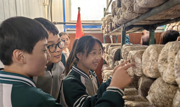 (j)Ѓ݅^(q)С(zhn)_չס(hu)(sh)`(dng)