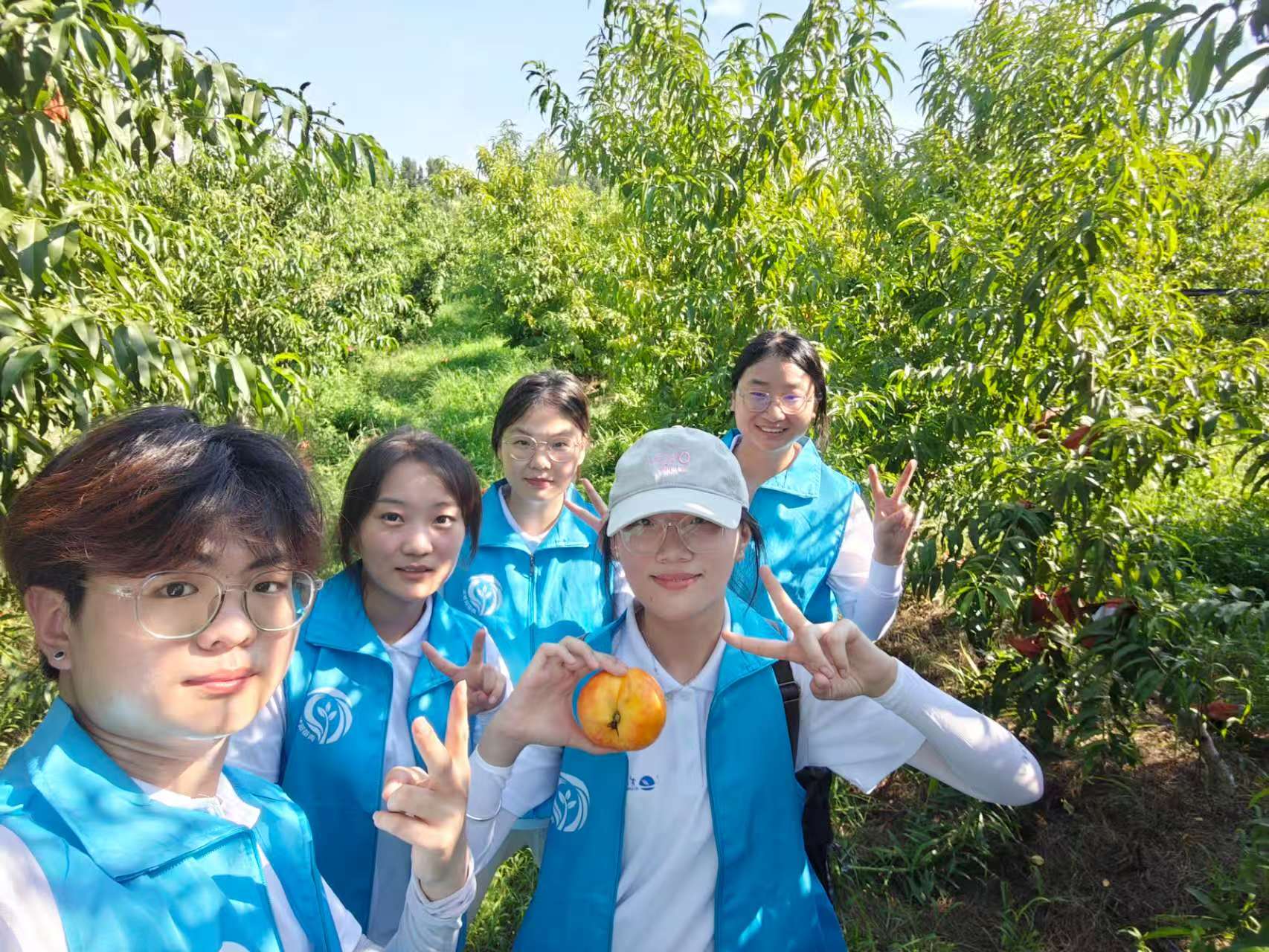 ഺd||SӿƼW(xu)Ժ̌W(xu)(mng)(du)ڡl(xing)(sh)`(dng)