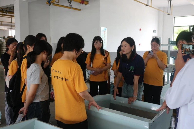 (sh)ֻa(chn)I(y)D(zhun)ͣ²I(y)(chung)°l(f)չ